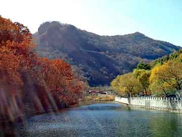 澳门二四六天天彩图库，黑夜de白羊